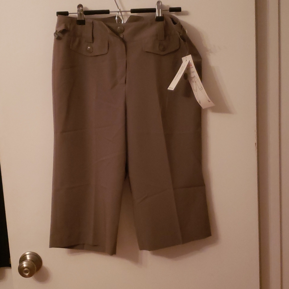 NWT LARRY LEVINE CITY SHORTS - Picture 1 of 9